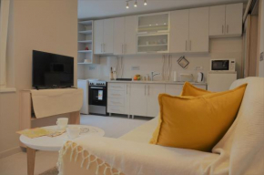 Spacious 2-bedroom apartment with luxury feel